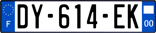 DY-614-EK