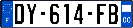 DY-614-FB