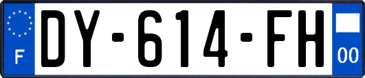 DY-614-FH