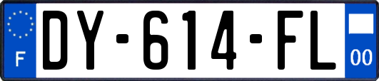 DY-614-FL