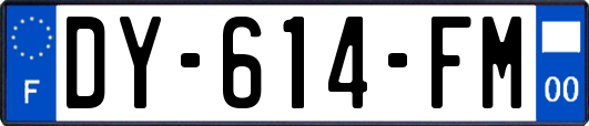 DY-614-FM