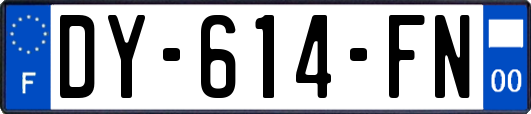 DY-614-FN