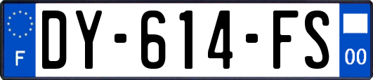 DY-614-FS