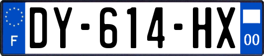 DY-614-HX