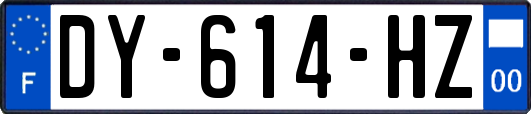 DY-614-HZ