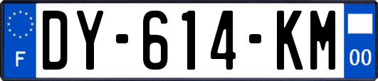 DY-614-KM