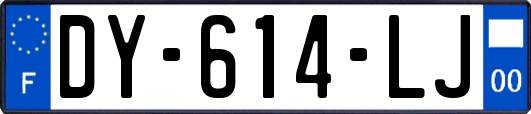DY-614-LJ
