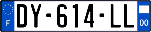 DY-614-LL