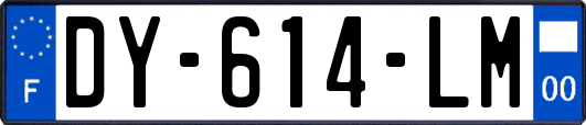 DY-614-LM