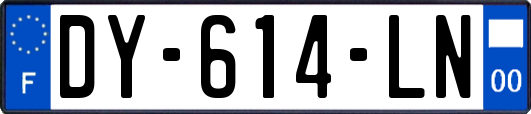 DY-614-LN