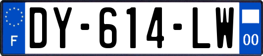 DY-614-LW
