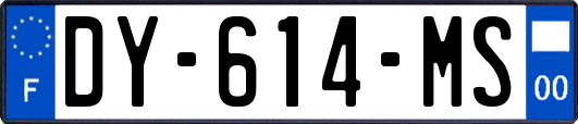 DY-614-MS