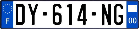 DY-614-NG