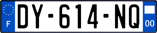 DY-614-NQ