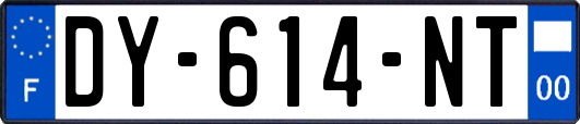 DY-614-NT