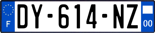 DY-614-NZ