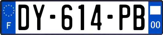 DY-614-PB