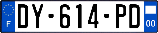 DY-614-PD