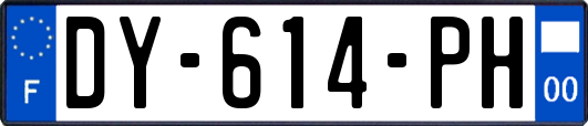 DY-614-PH