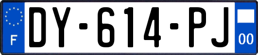 DY-614-PJ