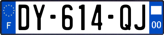 DY-614-QJ