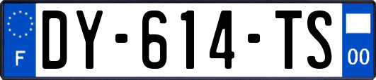 DY-614-TS