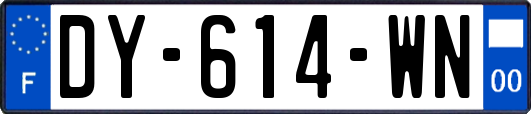 DY-614-WN