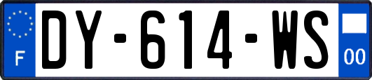 DY-614-WS