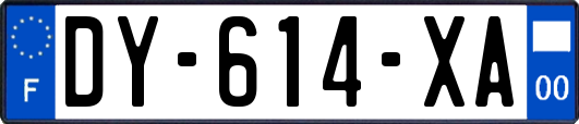 DY-614-XA