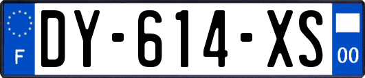 DY-614-XS