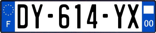 DY-614-YX