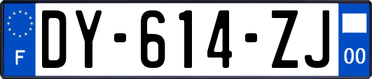 DY-614-ZJ