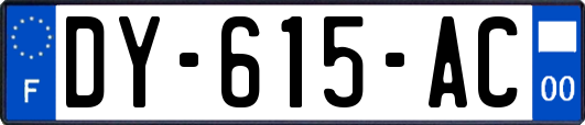 DY-615-AC