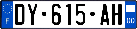 DY-615-AH