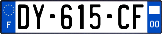 DY-615-CF
