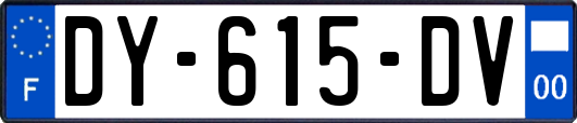 DY-615-DV