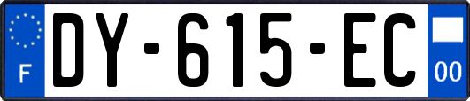 DY-615-EC