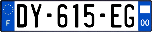 DY-615-EG
