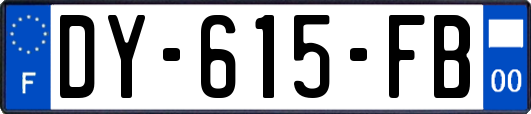 DY-615-FB