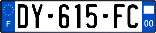 DY-615-FC