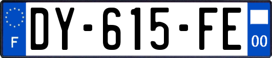 DY-615-FE