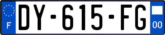 DY-615-FG