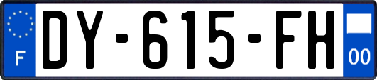 DY-615-FH