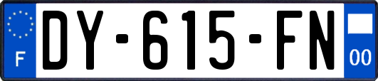 DY-615-FN