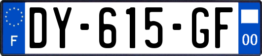 DY-615-GF