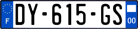 DY-615-GS