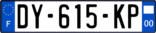 DY-615-KP