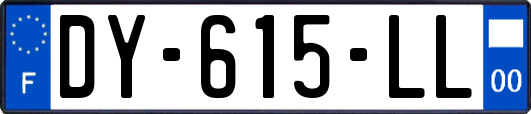 DY-615-LL