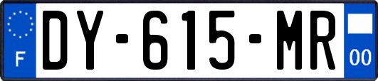 DY-615-MR
