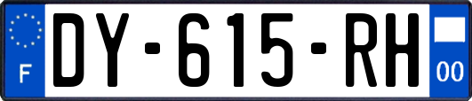 DY-615-RH